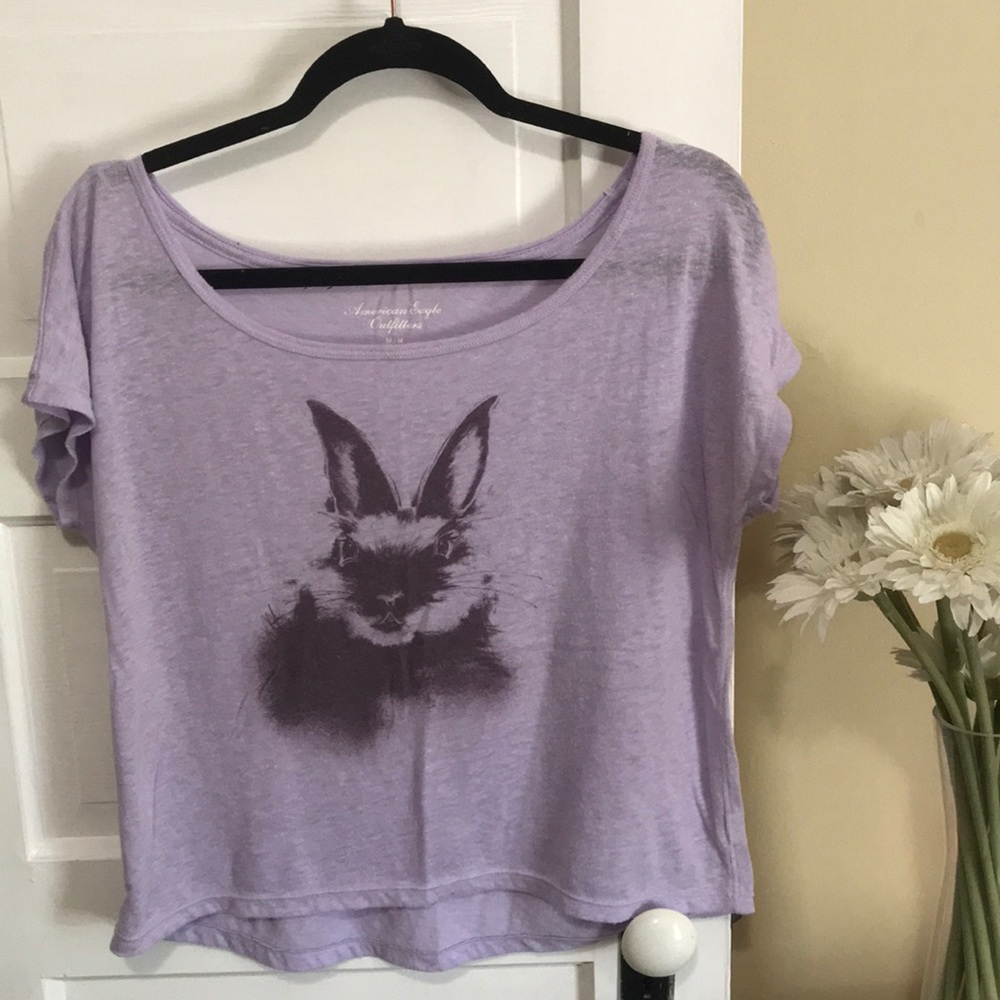 AE cropped tee